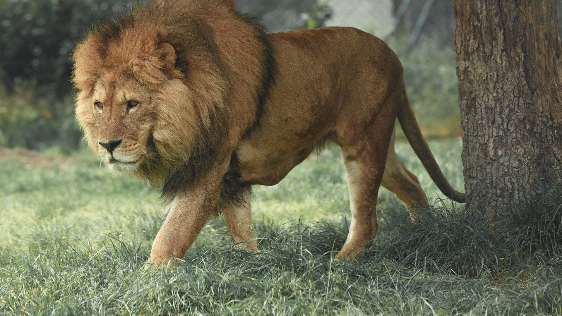 Обои космос туманность 4K